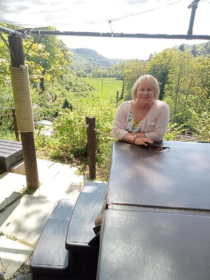 'Morris' The Shepherd'S Hut With Woodland Hot Tub Кармартън Екстериор снимка