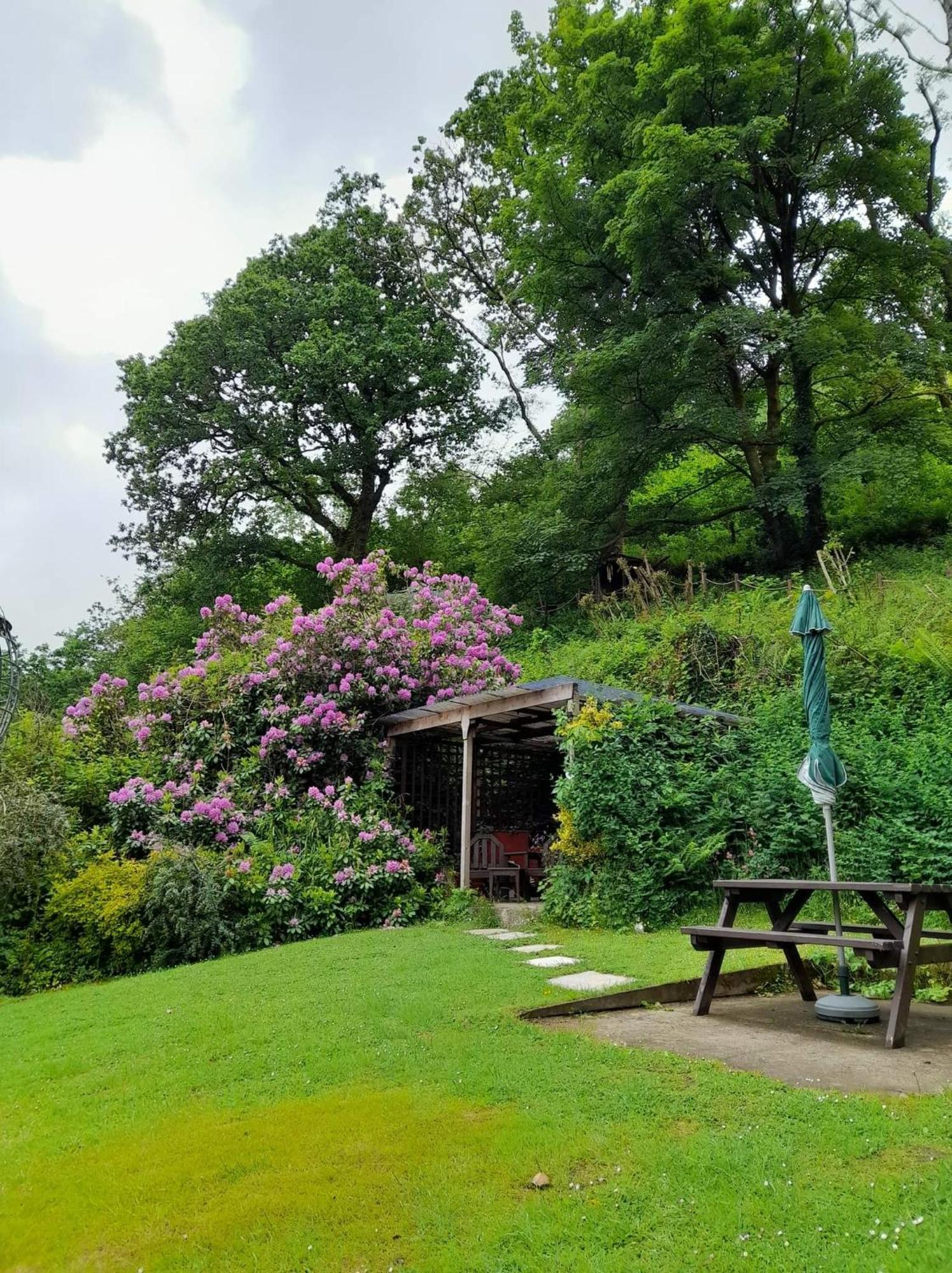 'Morris' The Shepherd'S Hut And Woodland Hot Tub Experience Кармартън Екстериор снимка