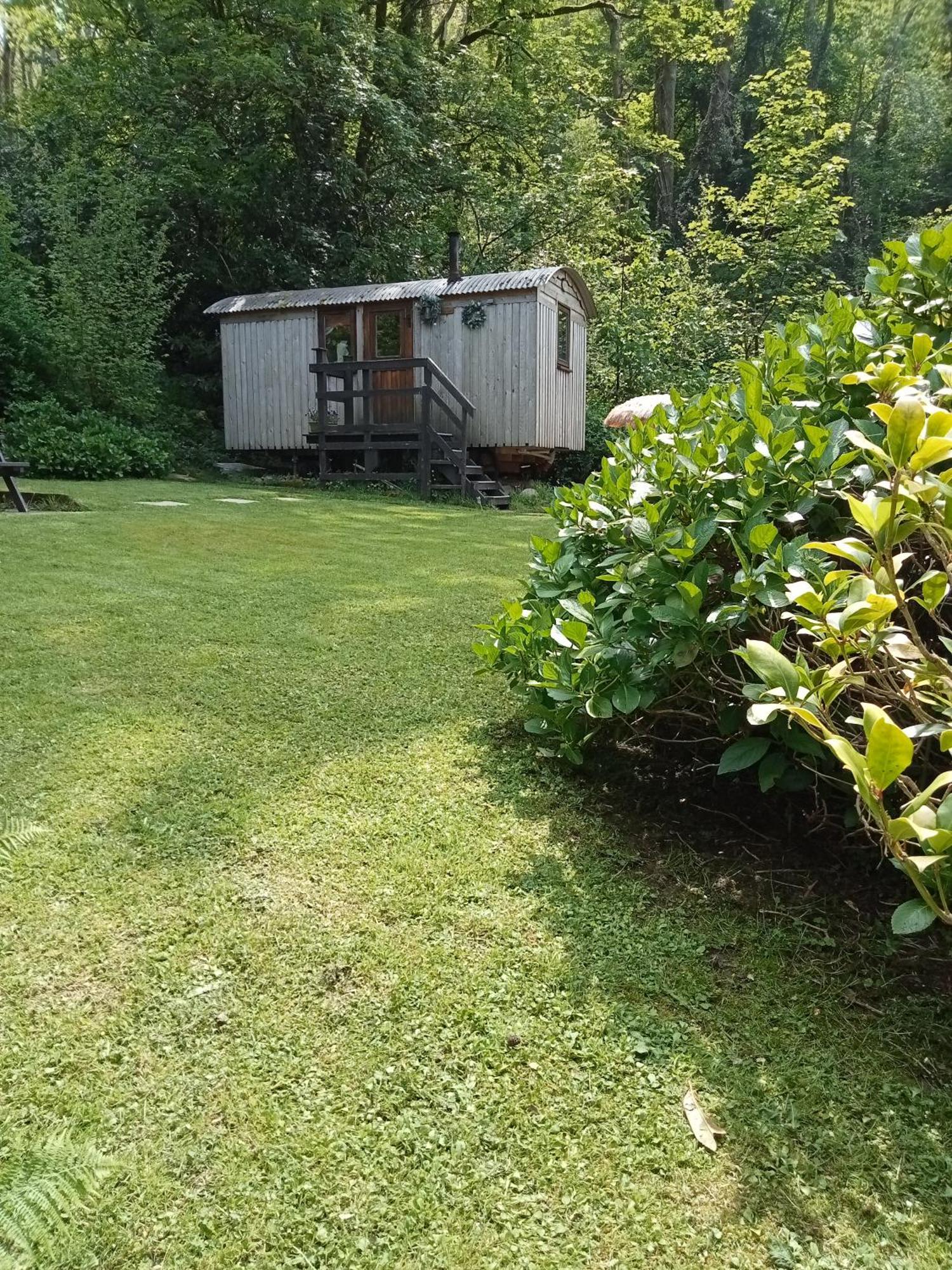 'Morris' The Shepherd'S Hut And Woodland Hot Tub Experience Кармартън Екстериор снимка