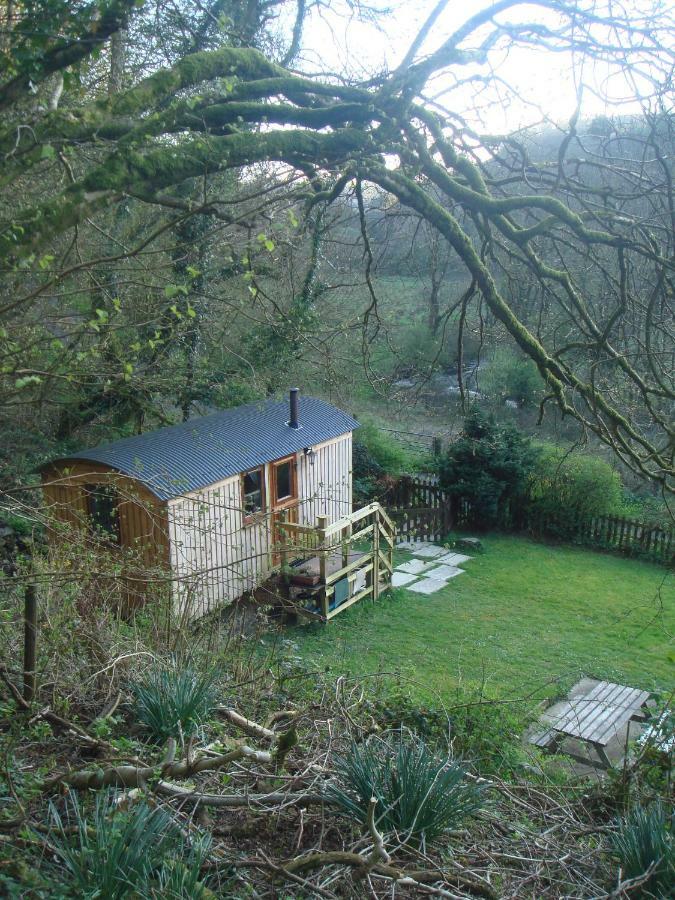 'Morris' The Shepherd'S Hut With Woodland Hot Tub Кармартън Екстериор снимка