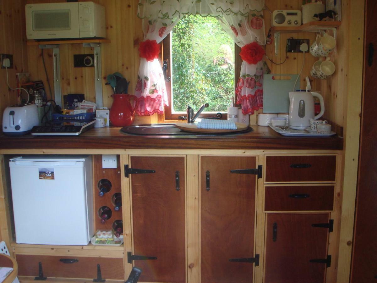 'Morris' The Shepherd'S Hut And Woodland Hot Tub Experience Кармартън Екстериор снимка