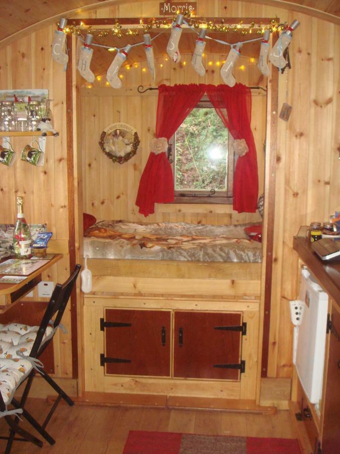 'Morris' The Shepherd'S Hut With Woodland Hot Tub Кармартън Екстериор снимка