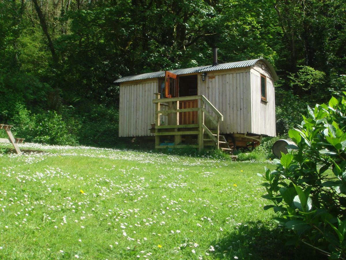 'Morris' The Shepherd'S Hut With Woodland Hot Tub Кармартън Екстериор снимка