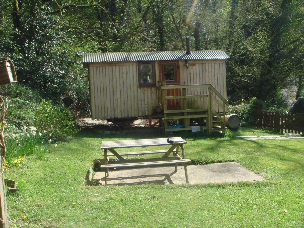 'Morris' The Shepherd'S Hut With Woodland Hot Tub Кармартън Екстериор снимка