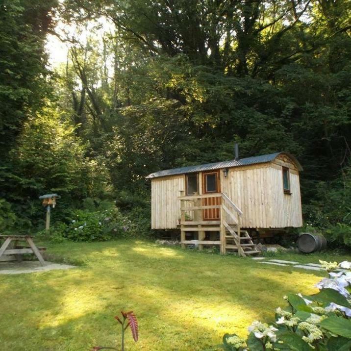 'Morris' The Shepherd'S Hut With Woodland Hot Tub Кармартън Екстериор снимка