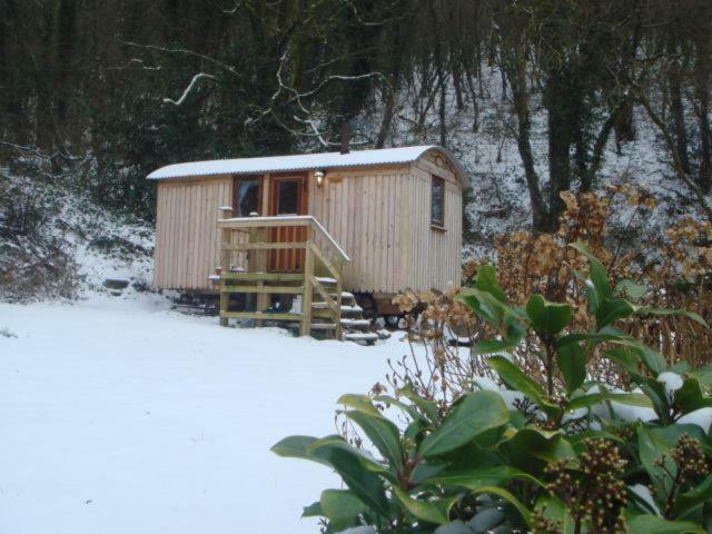 'Morris' The Shepherd'S Hut And Woodland Hot Tub Experience Кармартън Екстериор снимка