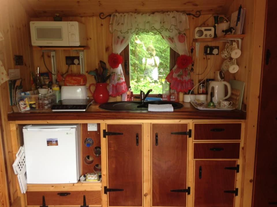 'Morris' The Shepherd'S Hut And Woodland Hot Tub Experience Кармартън Екстериор снимка