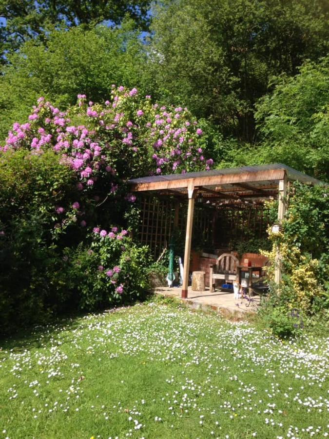 'Morris' The Shepherd'S Hut And Woodland Hot Tub Experience Кармартън Екстериор снимка