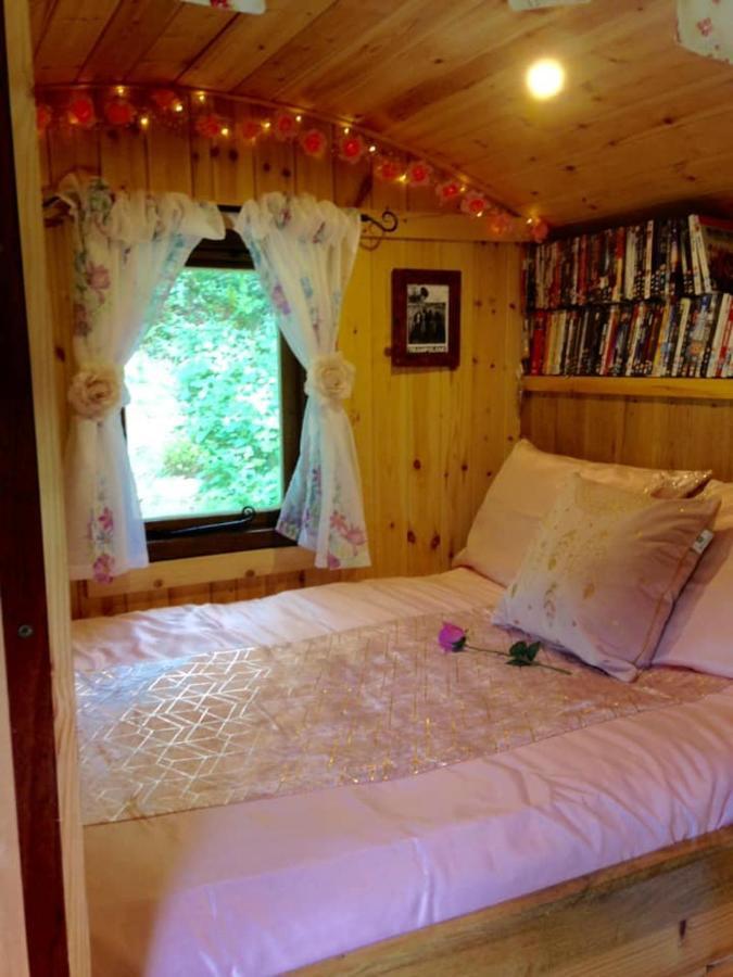 'Morris' The Shepherd'S Hut And Woodland Hot Tub Experience Кармартън Екстериор снимка